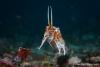 echeng121205_164638.jpg