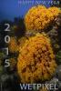 WP_NEW-YEAR_2015_600.jpg