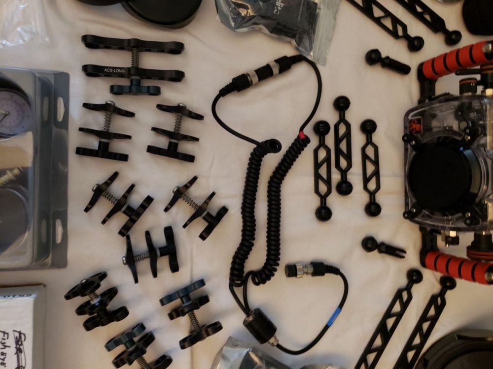 20191001_102946.thumb.jpg.b33983e1515e145fc9fc242d802e3bf7.jpg