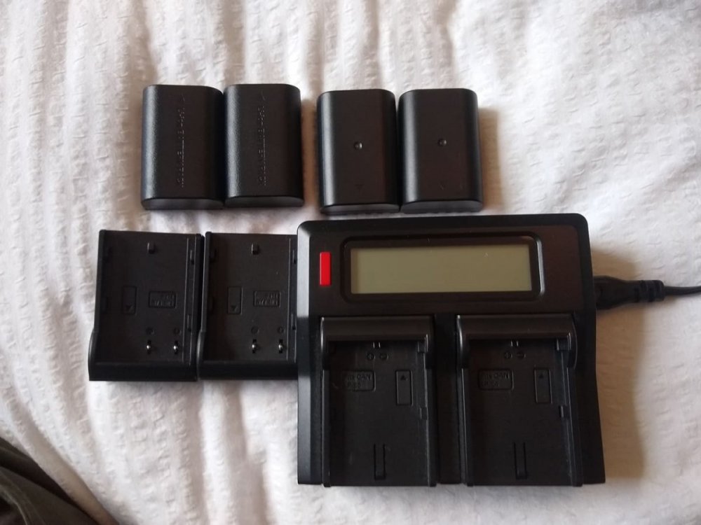 74802917_426565411601109_1736533008090923008_n.jpg