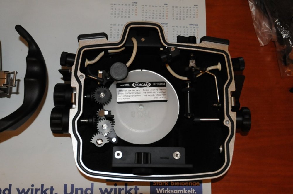 MMU_0956.JPG