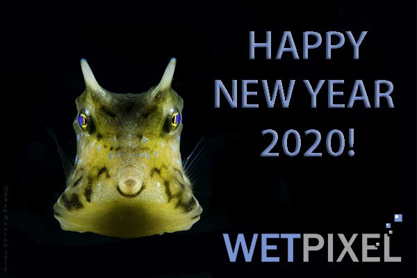 new_year_20_600.jpg