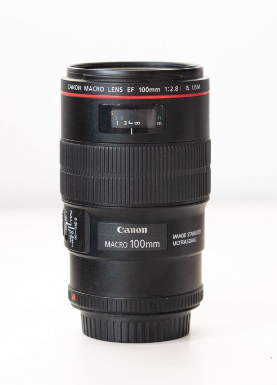 100mm 1.jpg