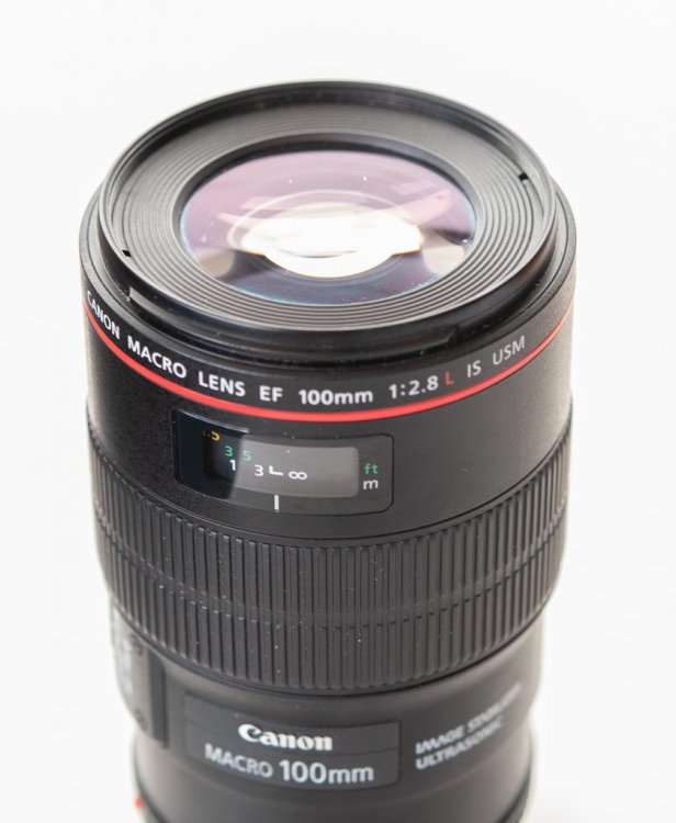 100mm 2.jpg