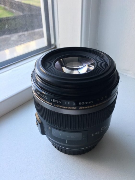 canon60mm lens.jpg