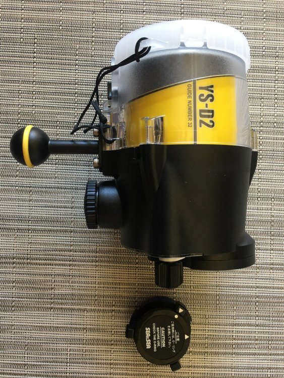 YS-D2J Strobe-0731-1.jpg