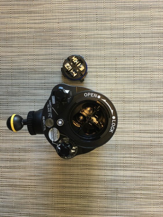YS-D2J Strobe-0732-2.jpg