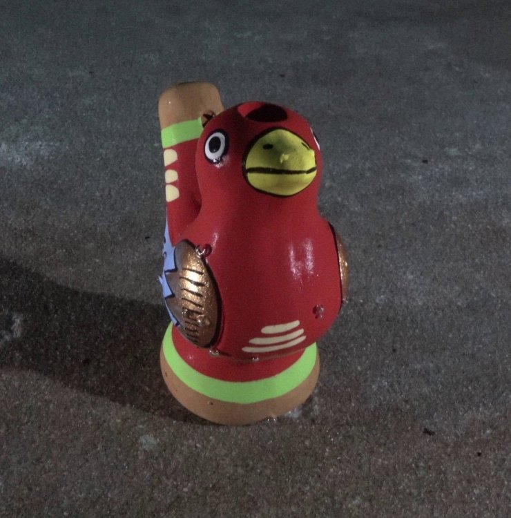 316056554_UWbird.thumb.jpg.d43ceed2f1759d0bcb8940c333d16da9.jpg