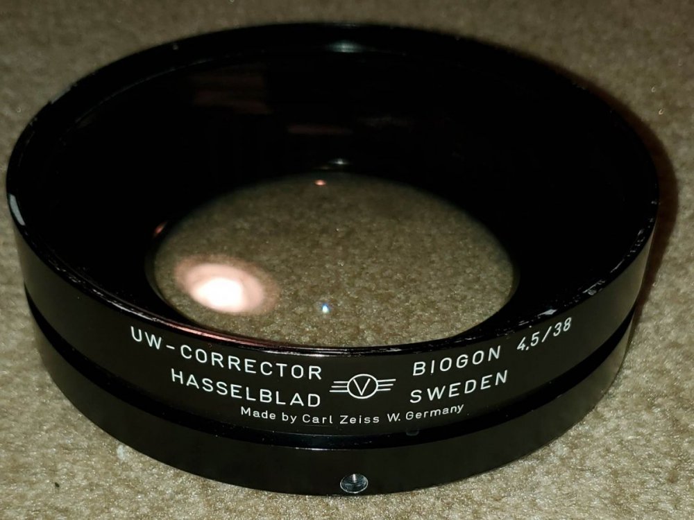 20200831_190229.jpg
