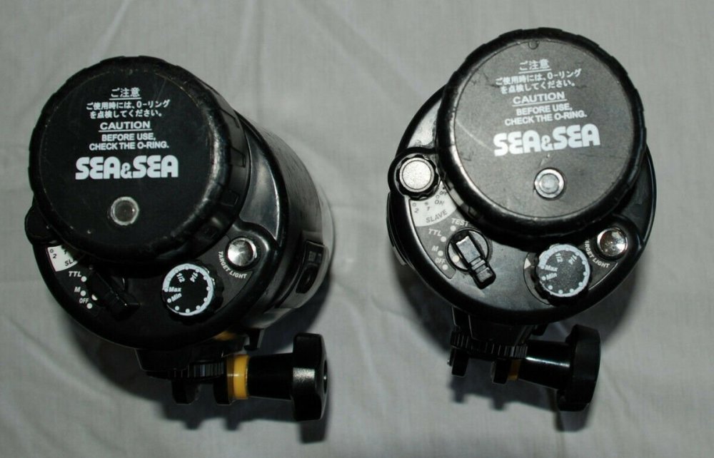 YS-250 back.jpg