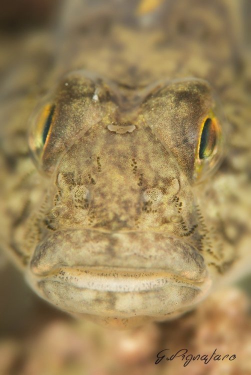 201018_080_8000467A.JPG