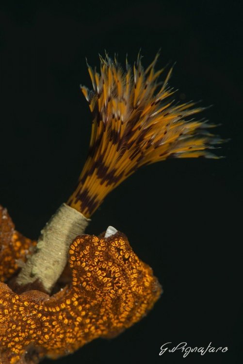 201018_167_8000554.JPG