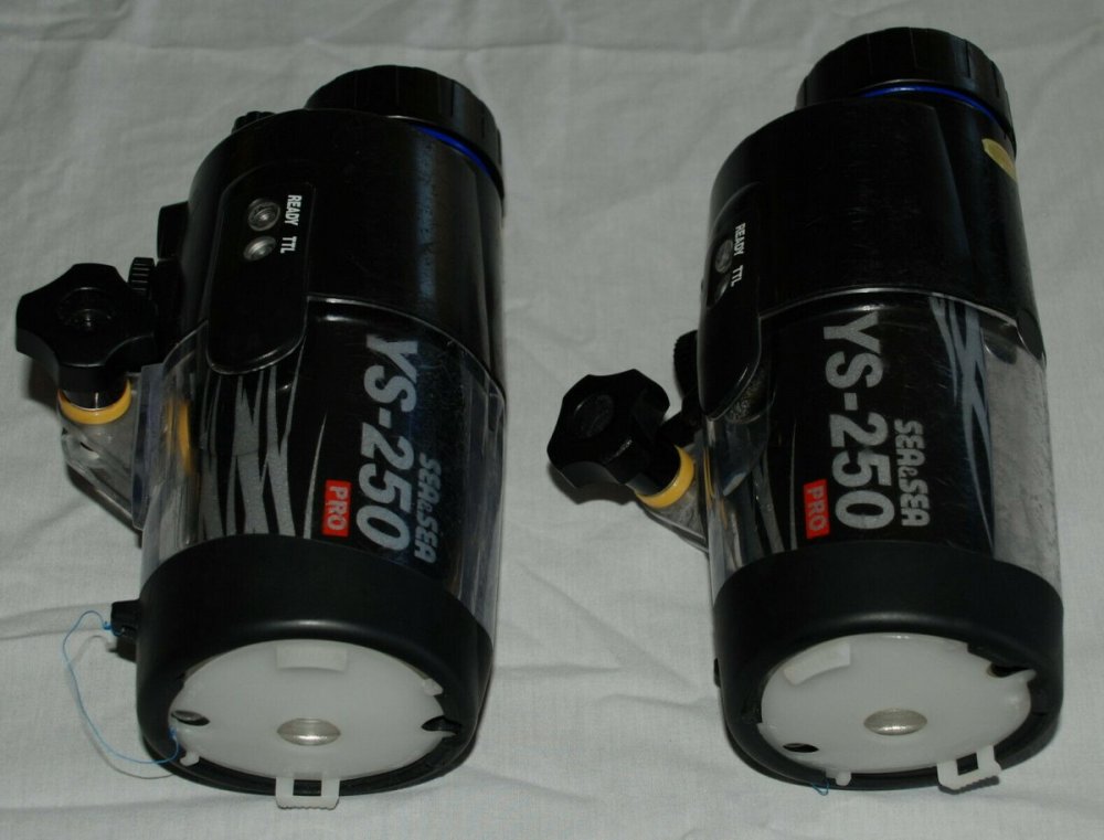 Ys-250 heads.jpg
