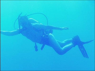 Tz_diving_FL_avatar_400px.jpg