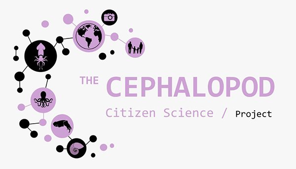 ccsp_logo_600.jpg