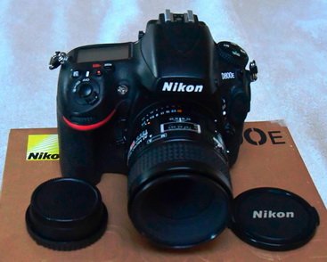 1956639044_6D800_resize.JPG.cc333b3132e76585f159c4bf9a377fee.JPG