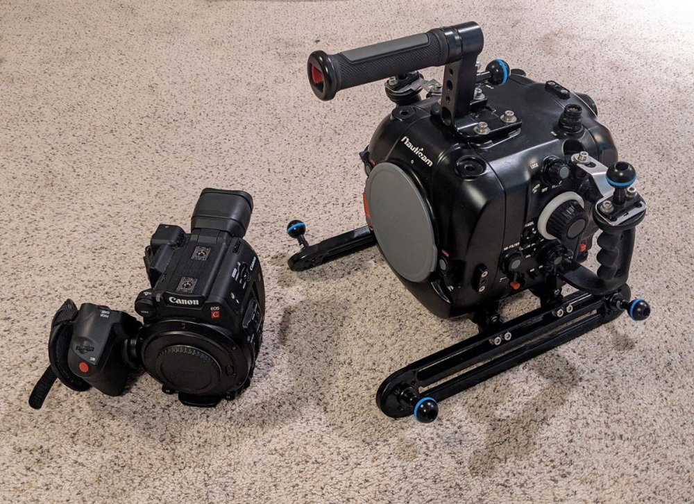 CANON C200.jpg