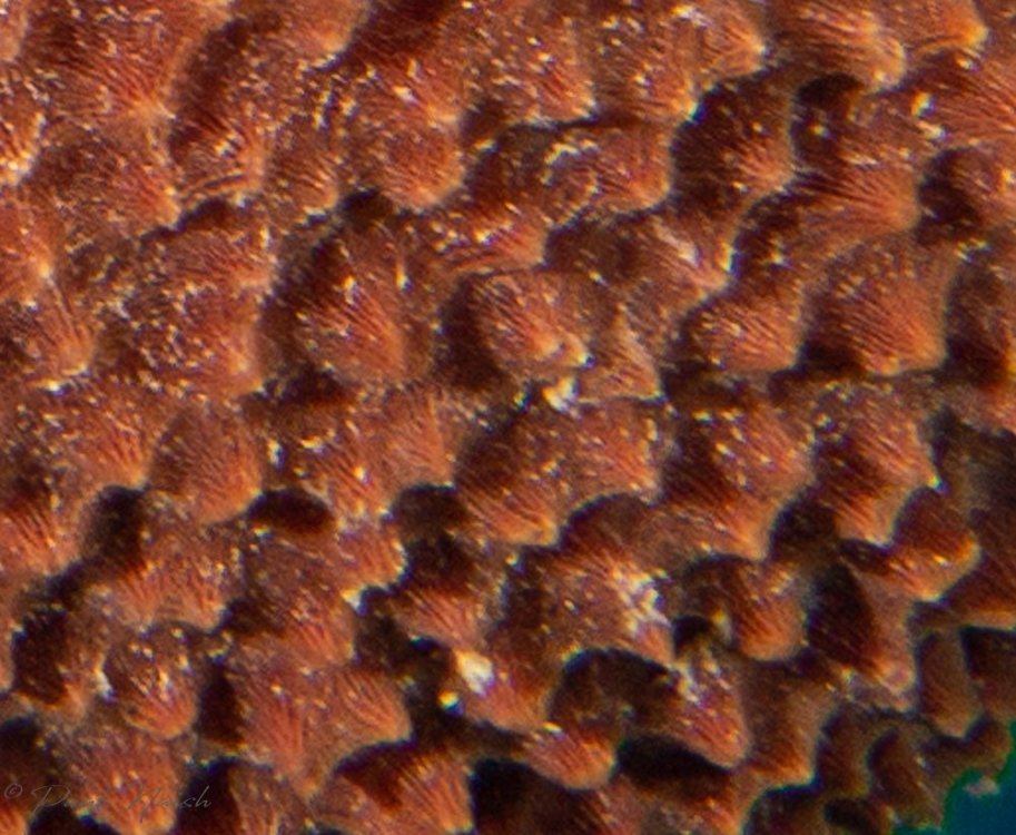 20160511_110759.jpg
