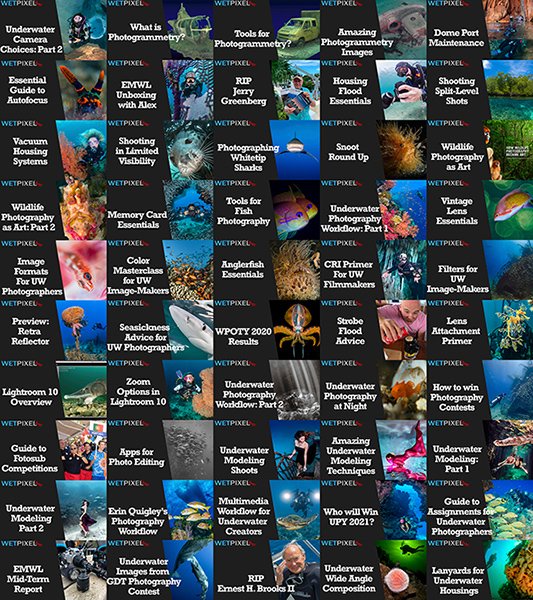 WP_LIVE_covers_100_600.jpg