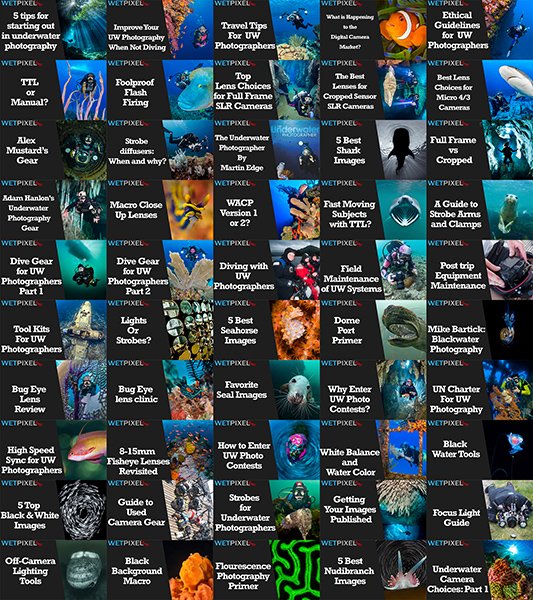 WP_LIVE_covers_50_600.jpg