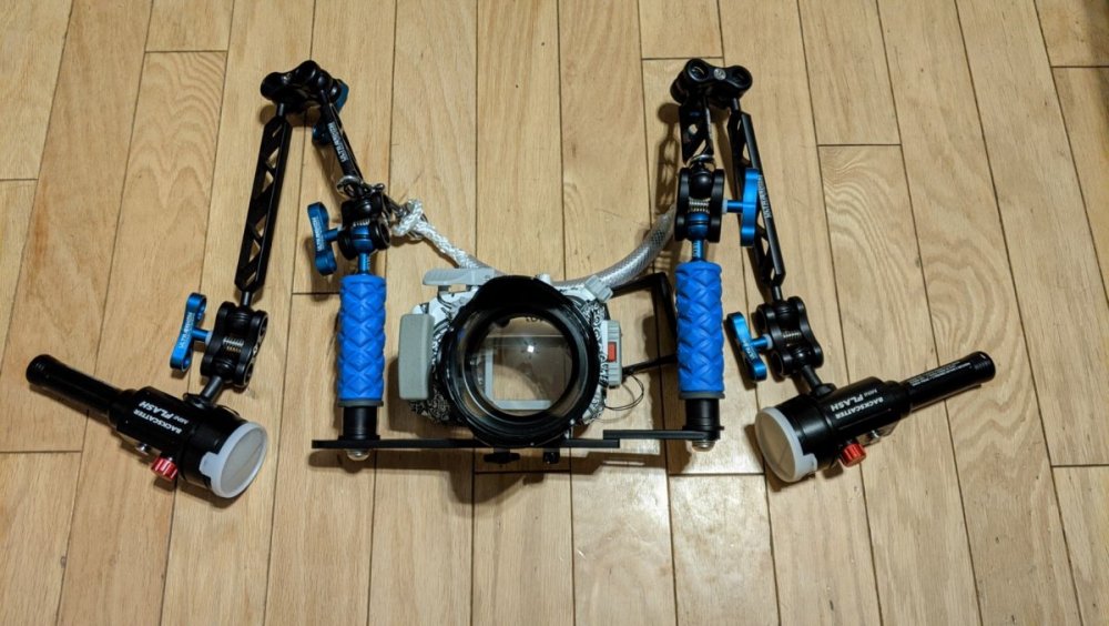 PXL_20201212_031436380.jpg
