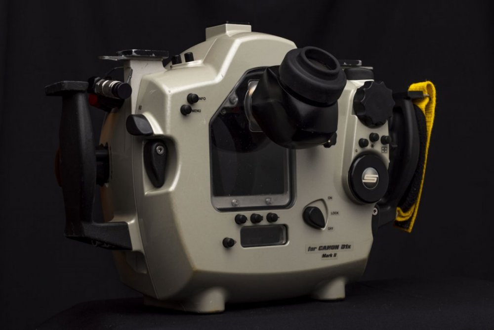 SR5_1322.jpg