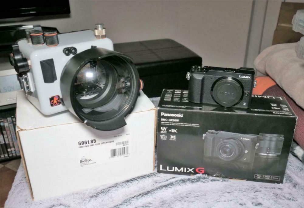 s-l1600.jpg