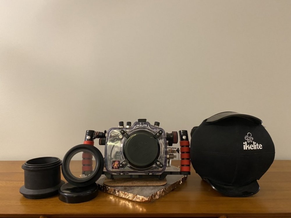 5030953C-E0F4-4787-BA45-D9E9FD091EC7.jpeg