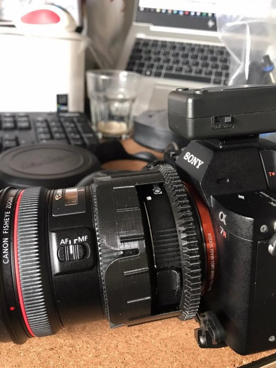 sony-canon.jpg