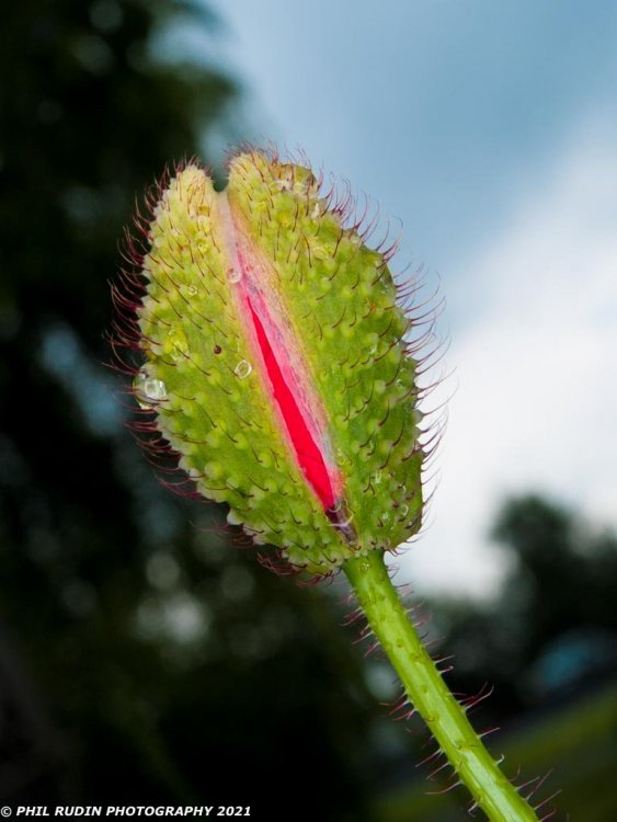 untitled-6090134.jpg
