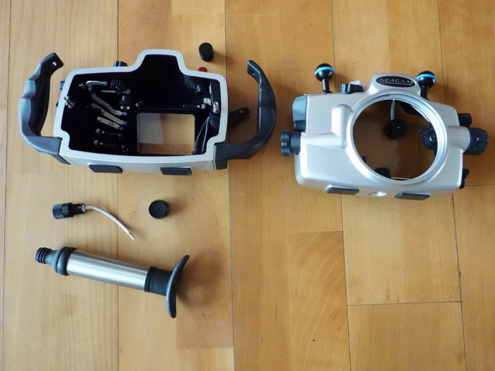 Seacam A7R2_2.JPG