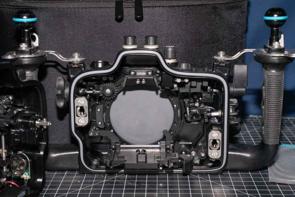 JSC03270.jpg