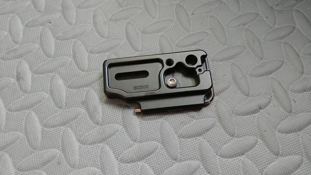 d500 mount.jpg