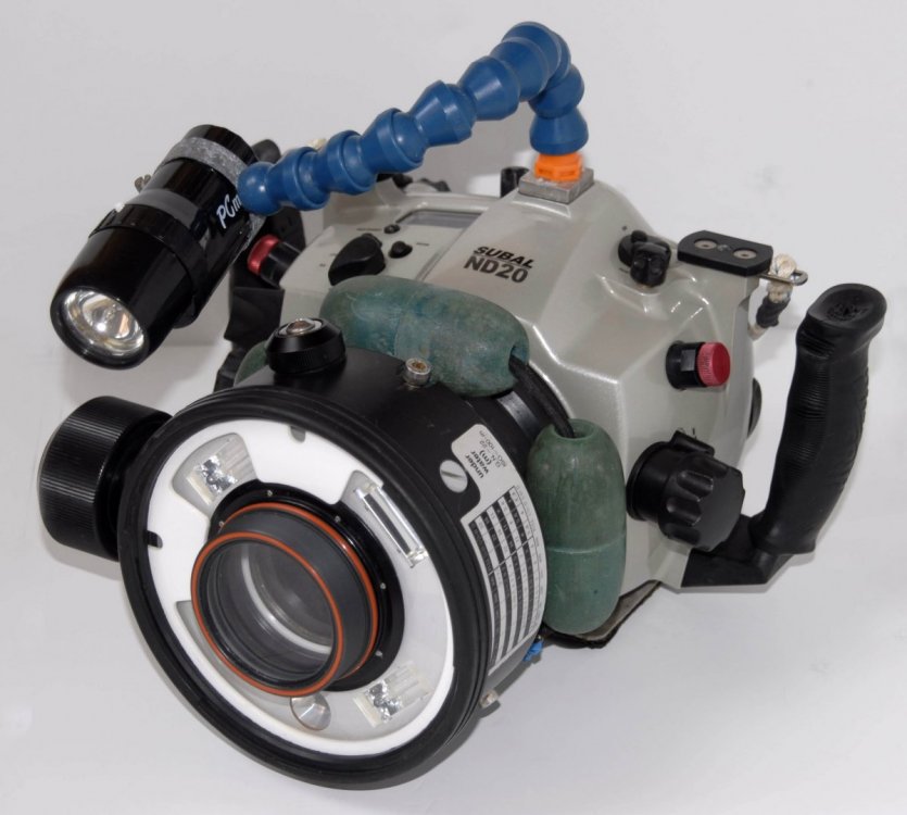 Inon Quad with wet lens.jpg