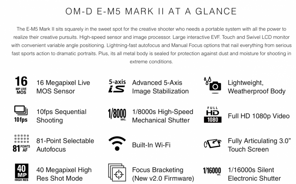 2065554230_OlympusOMDEM5MarkIIspecs.thumb.png.a5f6f96ad9f3e124ef6425aed7ef7029.png