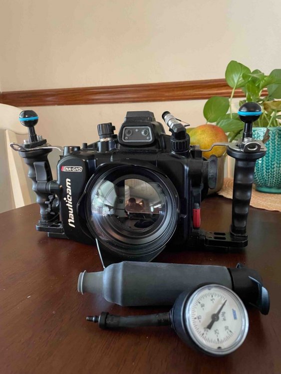 GH5 and Vacuum Seal.jpg