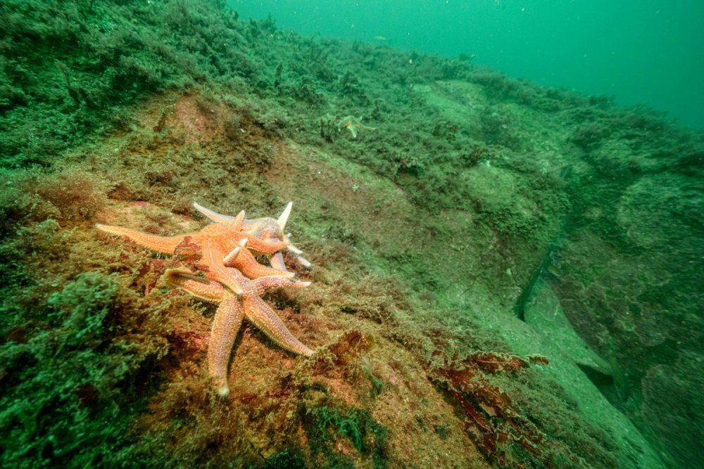 Z7A_2525.jpg
