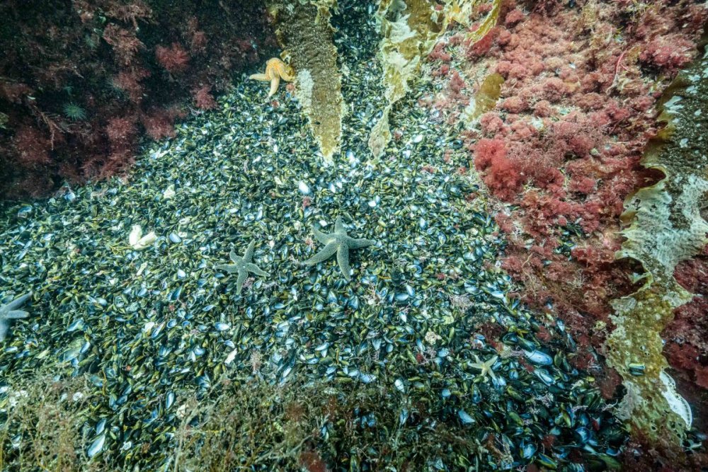 Z7A_2537.jpg