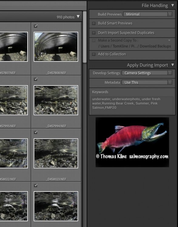 Screen Shot 2021-09-05 at 8.56.09 PM.jpg