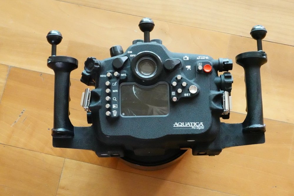 Aquatica 5Dmk3_4.JPG