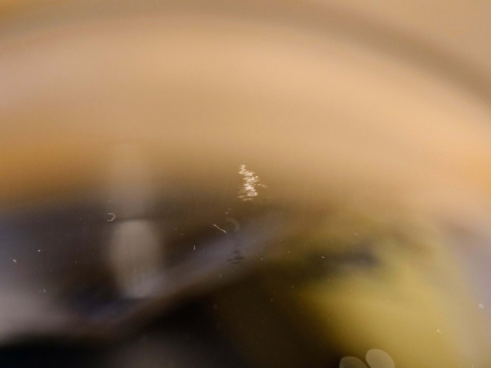 1526952550_original_a13d13ca-1864-4166-a9bf-9eef5ba9798f_01111827(1).thumb.jpg.fb93e56364aa4a41028f43c24e3f27a3.jpg