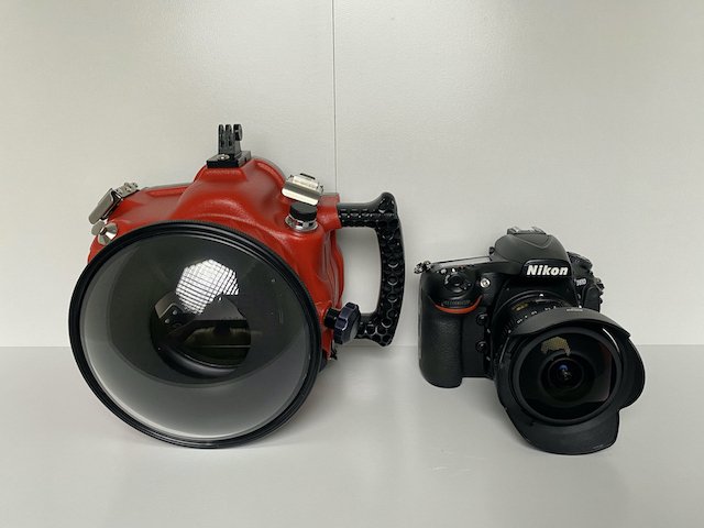 1736530746_FrontView.jpg.860ae1c71bbd2a13d8b823a6d26815e7.jpg
