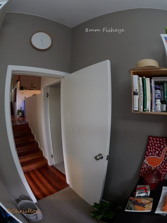 8mm_fisheye.thumb.jpg.86dd21d9b3b00a2f6e594ead2a36fcf8.jpg