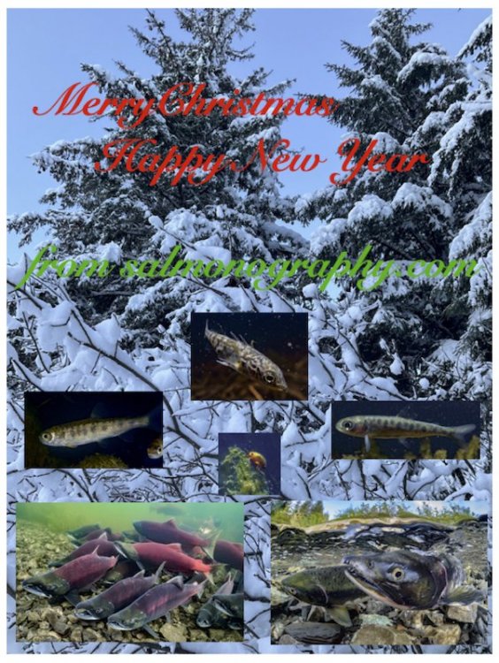 XmasEcard2021.jpg