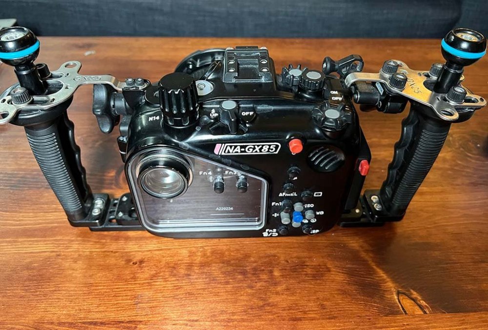 nagx85_1.jpg
