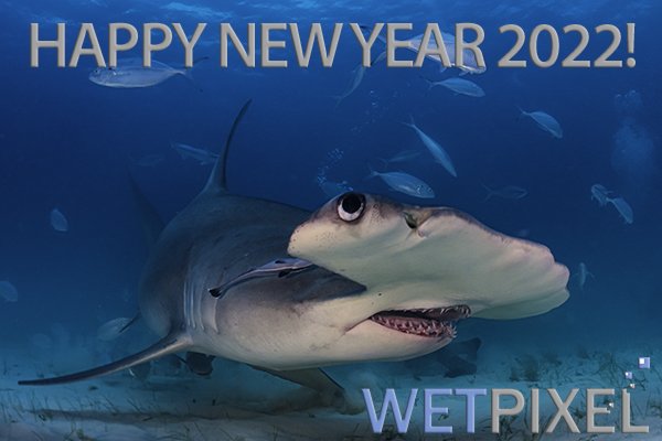 new_year_22_600.jpg