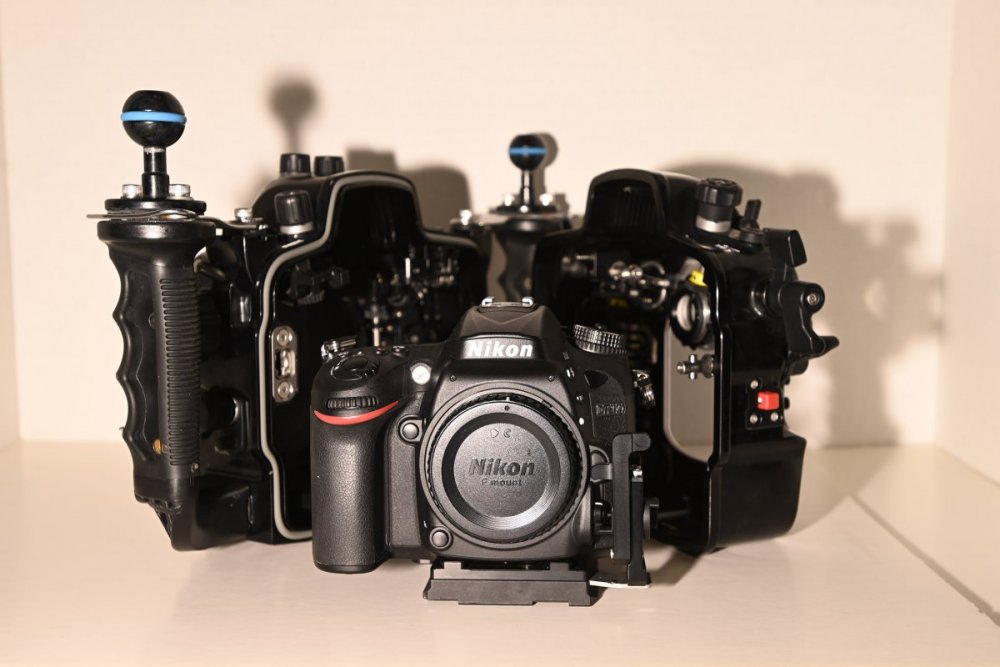 sm_JBZ7949.jpg
