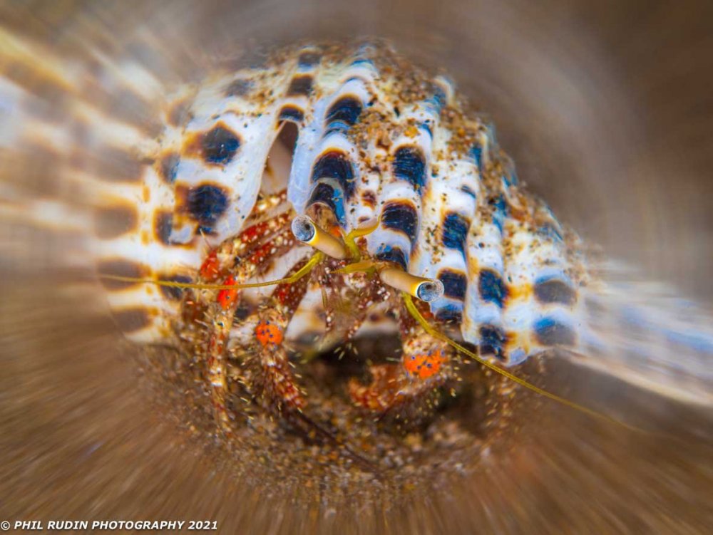 untitled-065363.jpg