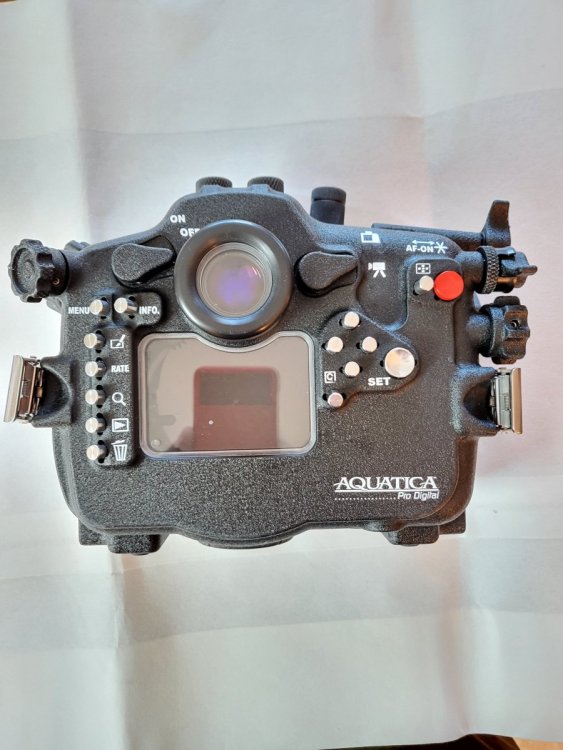 20220116_101247.jpg