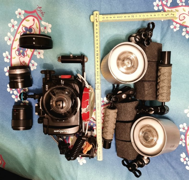 20220131_180416_01.jpg